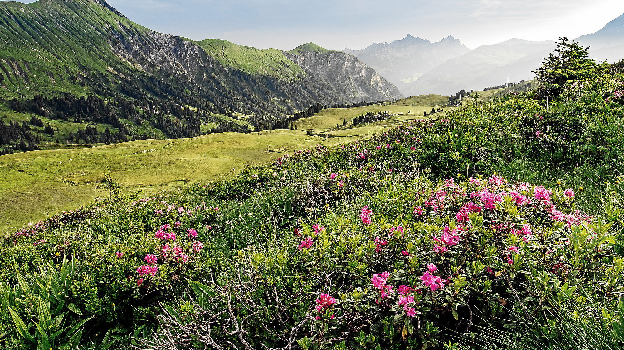 Generationenfestival 2024