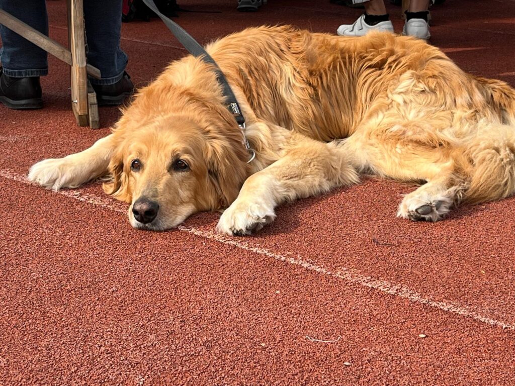 Pausen müssen auch sein …