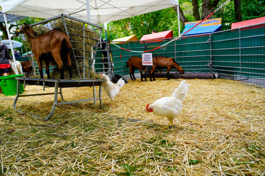 Zurück zum Erlebnishof Hatti