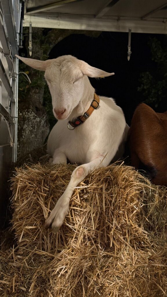 Übernachten erlaubt!