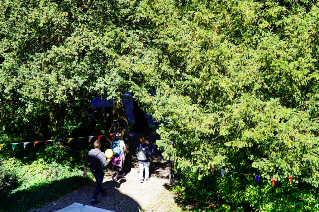 Sind wir im Wald …