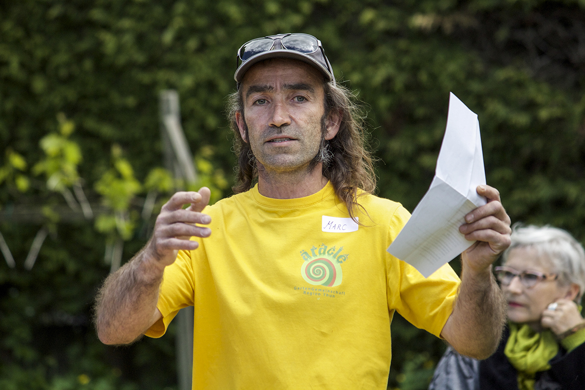 Dubach spielt zwischen Margeriten