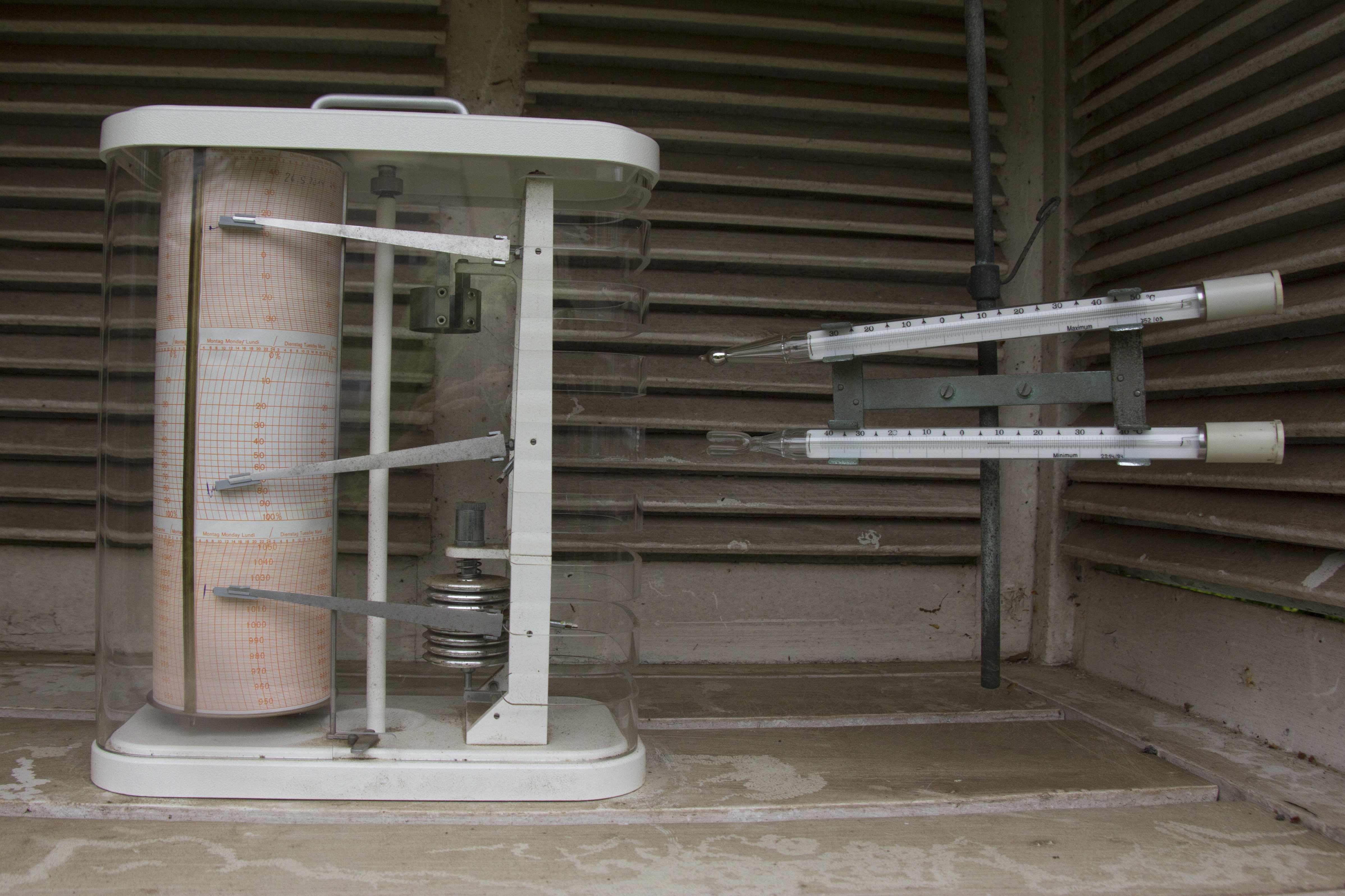 Dieser Frosch hüpft seiner Zeit nicht davon