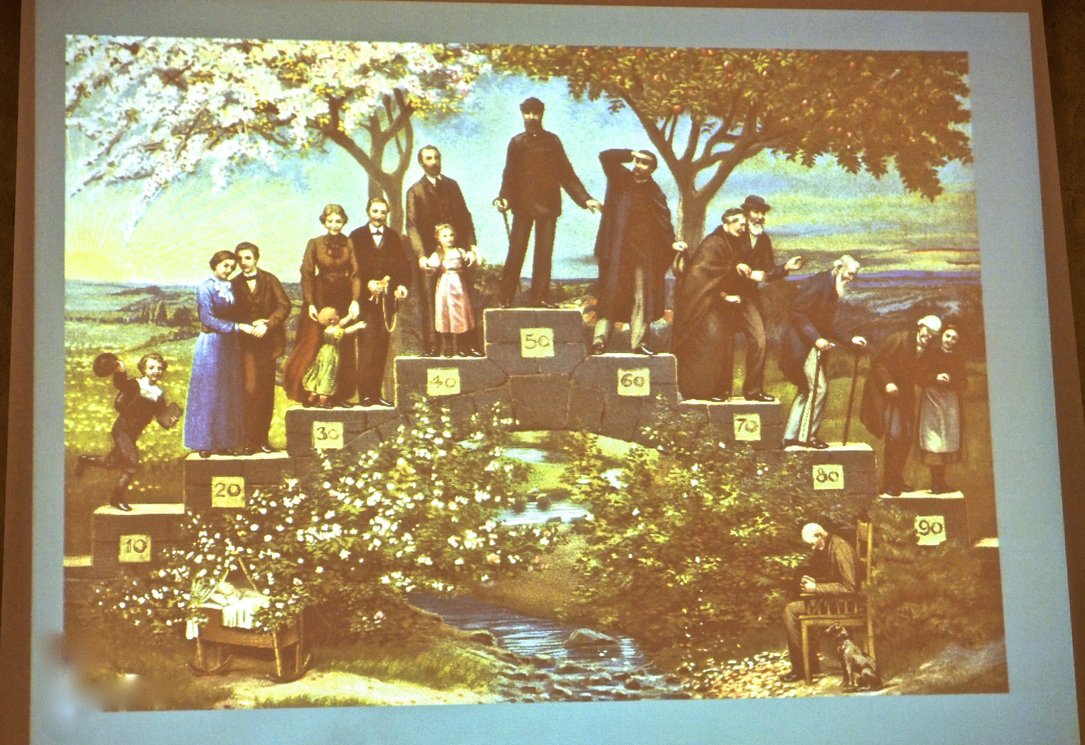 Die Lebenstreppe – wer oder was ist denn «weise»?