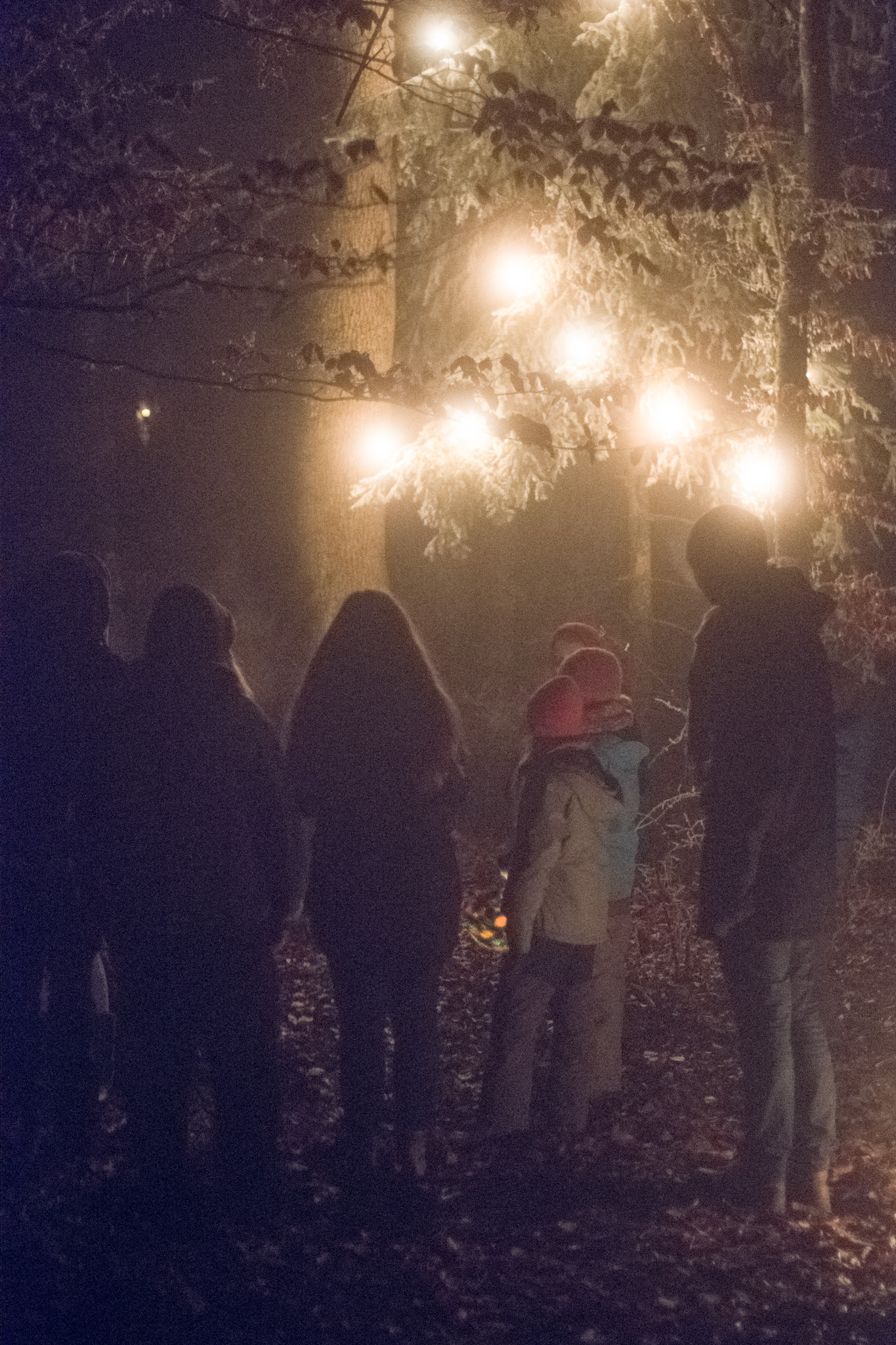 Demut, Demokratie, Durst – zwei Weihnachtsgeschichten