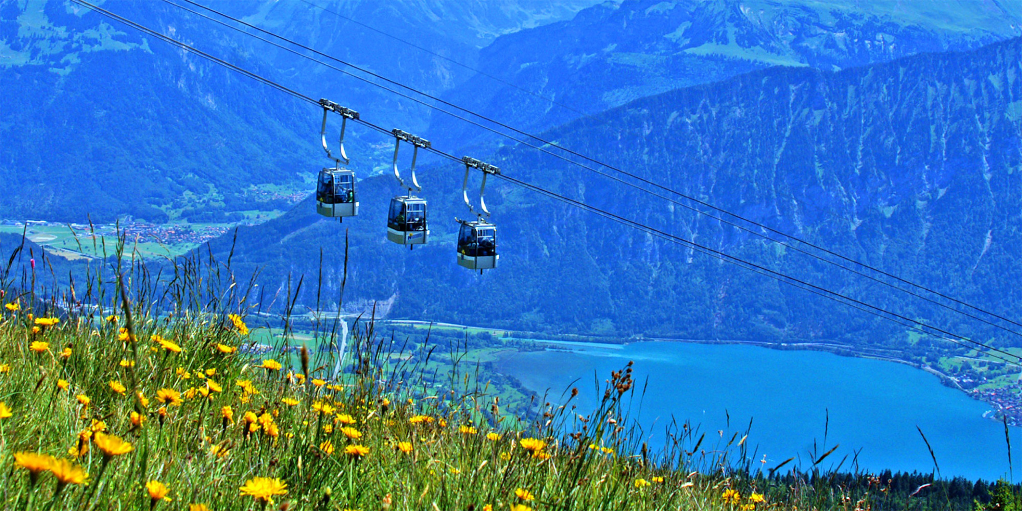 Die Umfrage: Fragen beantworten und auf’s Niederhorn fahren?