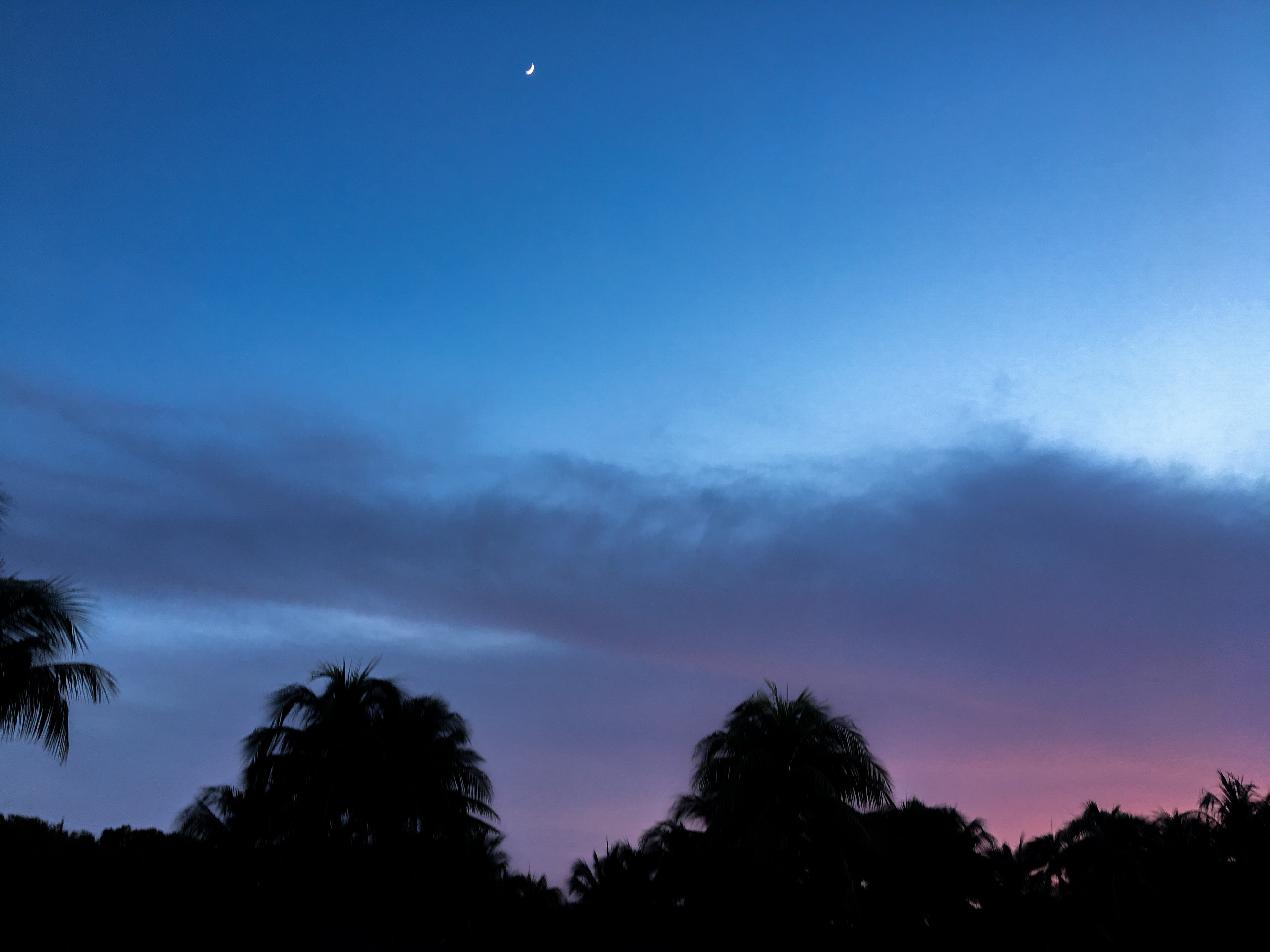 Schwimmen mit Fischen und sich nach der Sonne richten