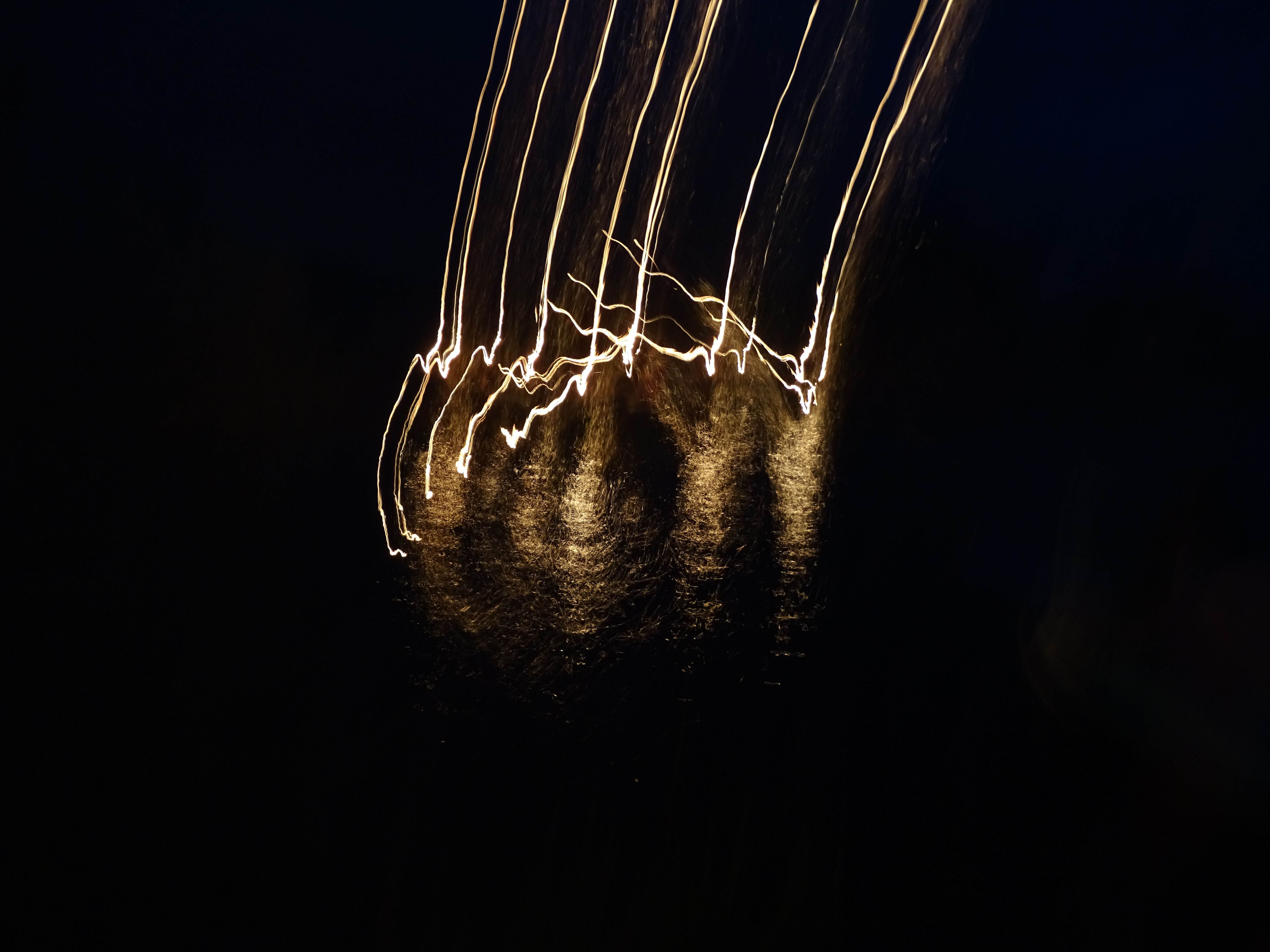 Die Nacht des Vergessens