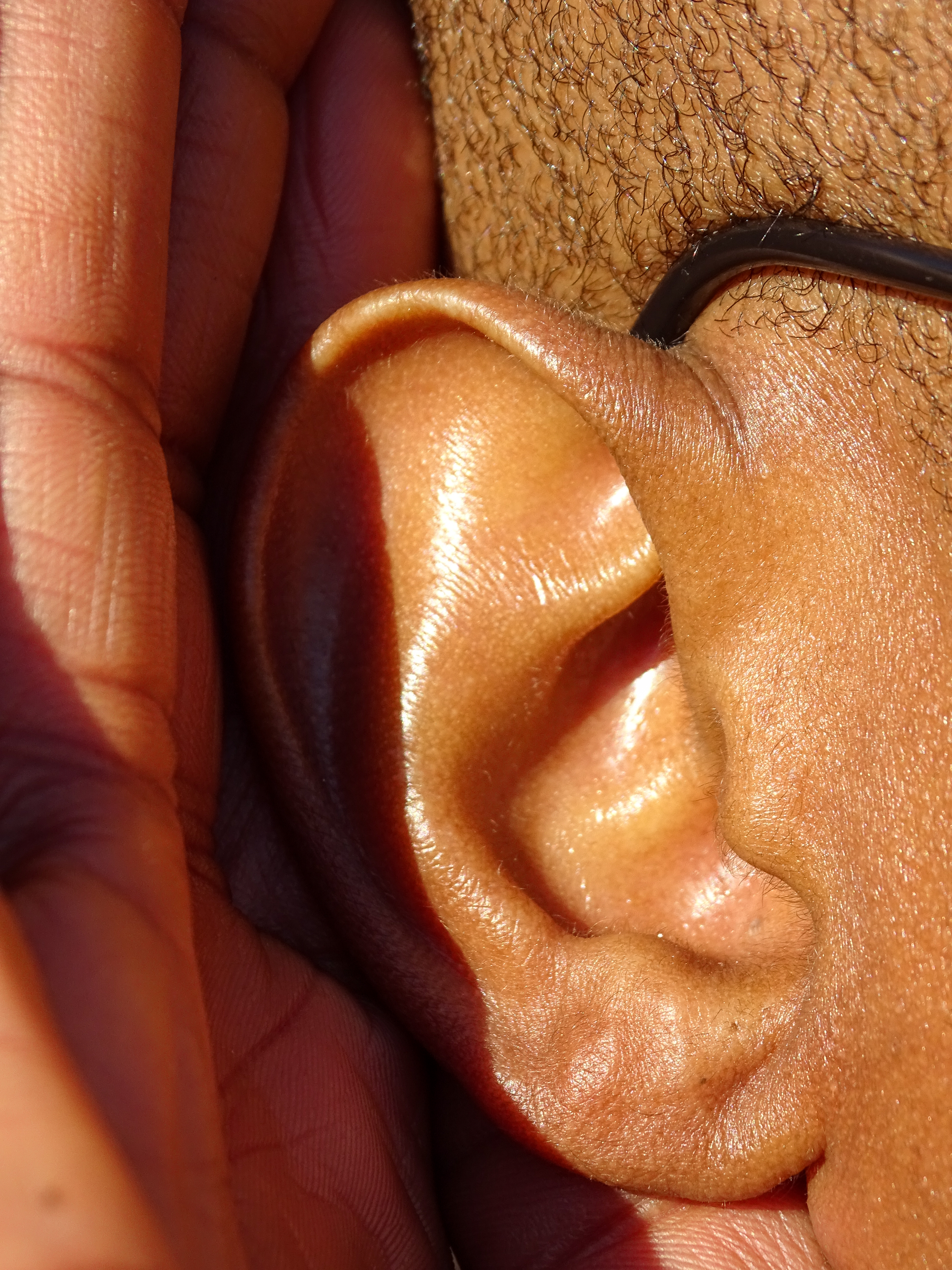 Sensibel und lärmgeplagt – ein Audiologe im Gespräch