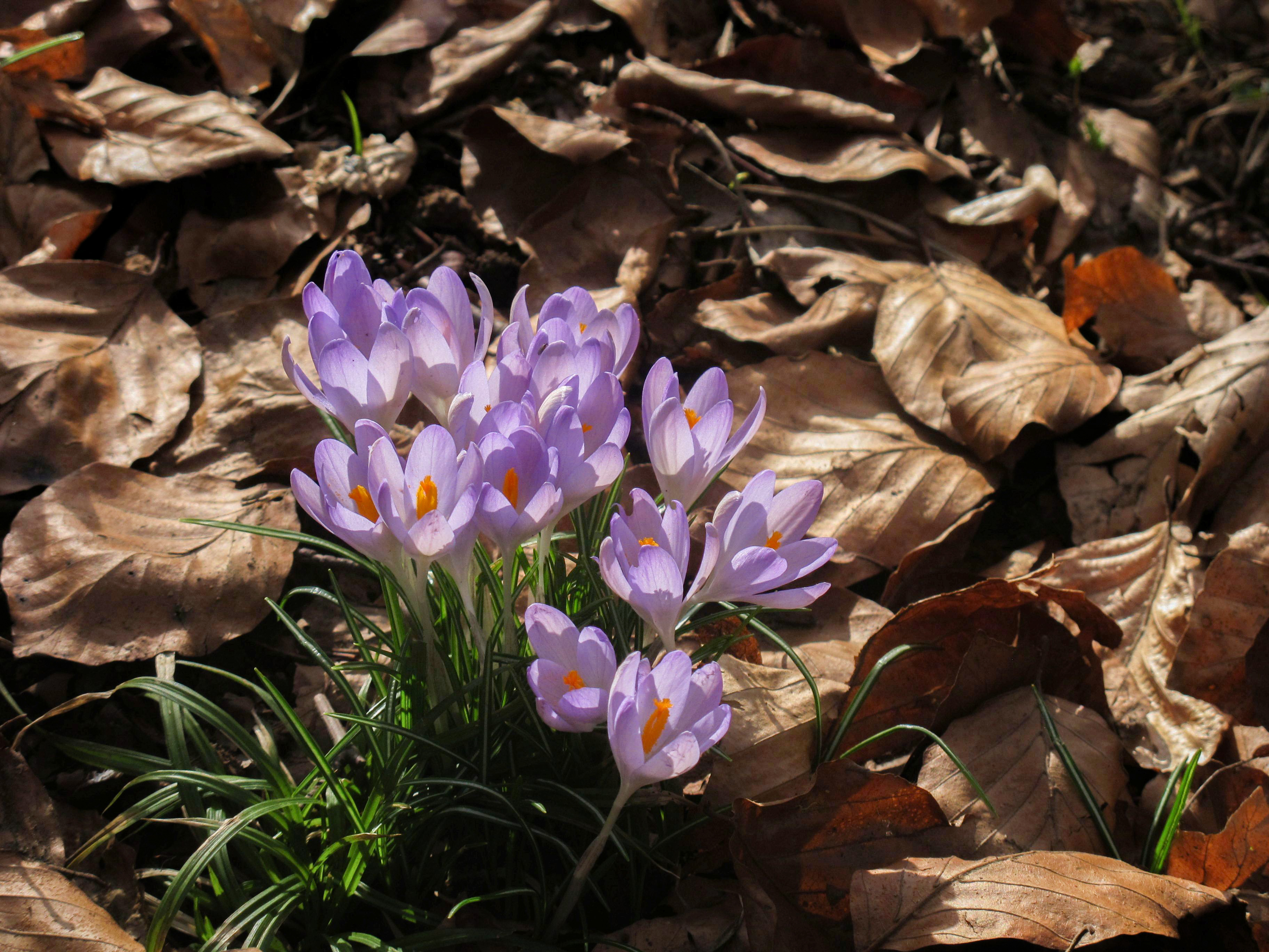 Kribbelndes Frühlingsgefühl – ein Dialog