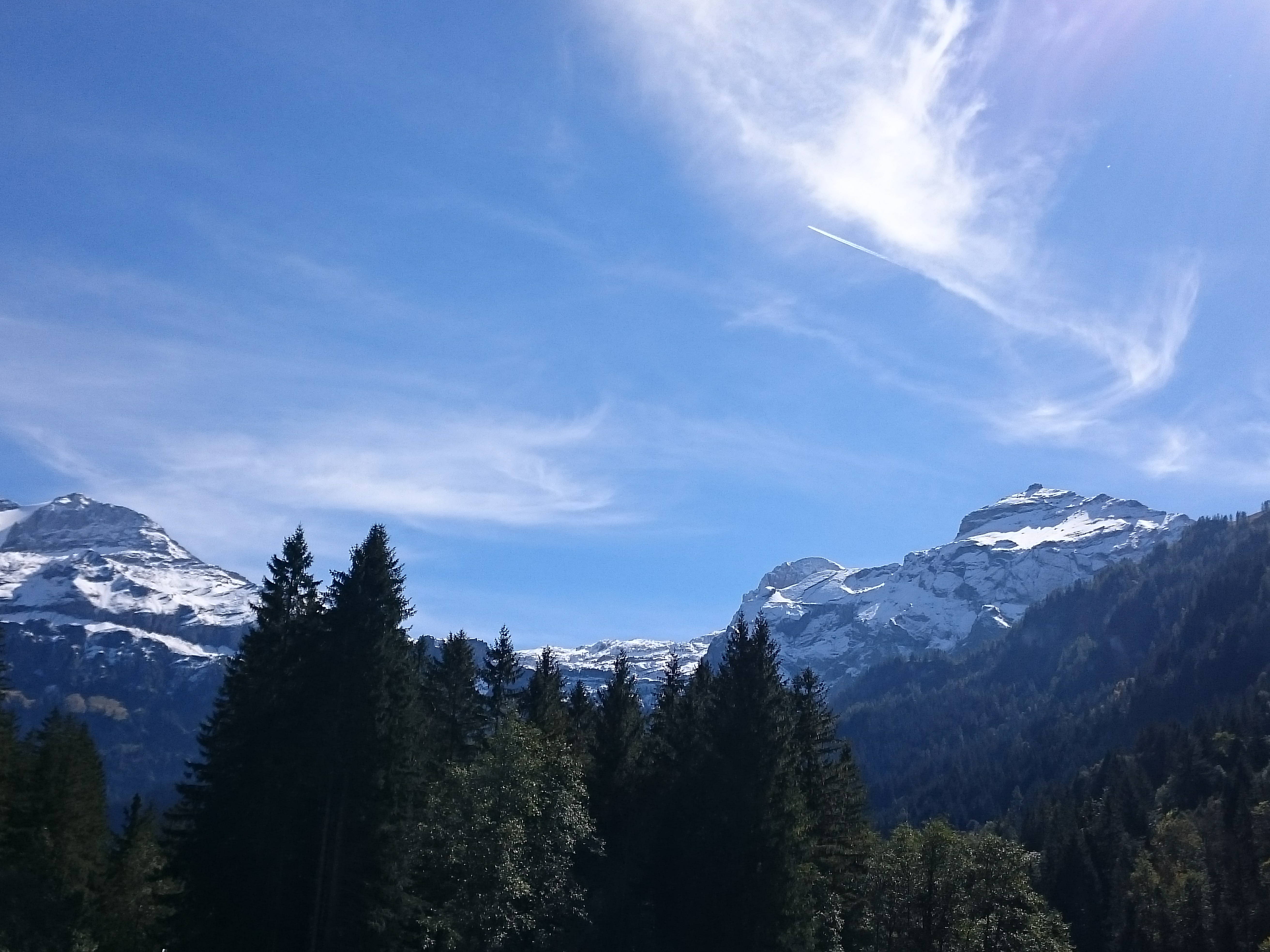 Bedrohte Freundschaft