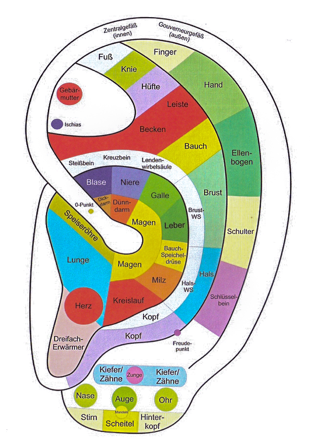 Von der Klinik zur Praxis: Das ist die Arztkarriere des Urs Lenggenhager