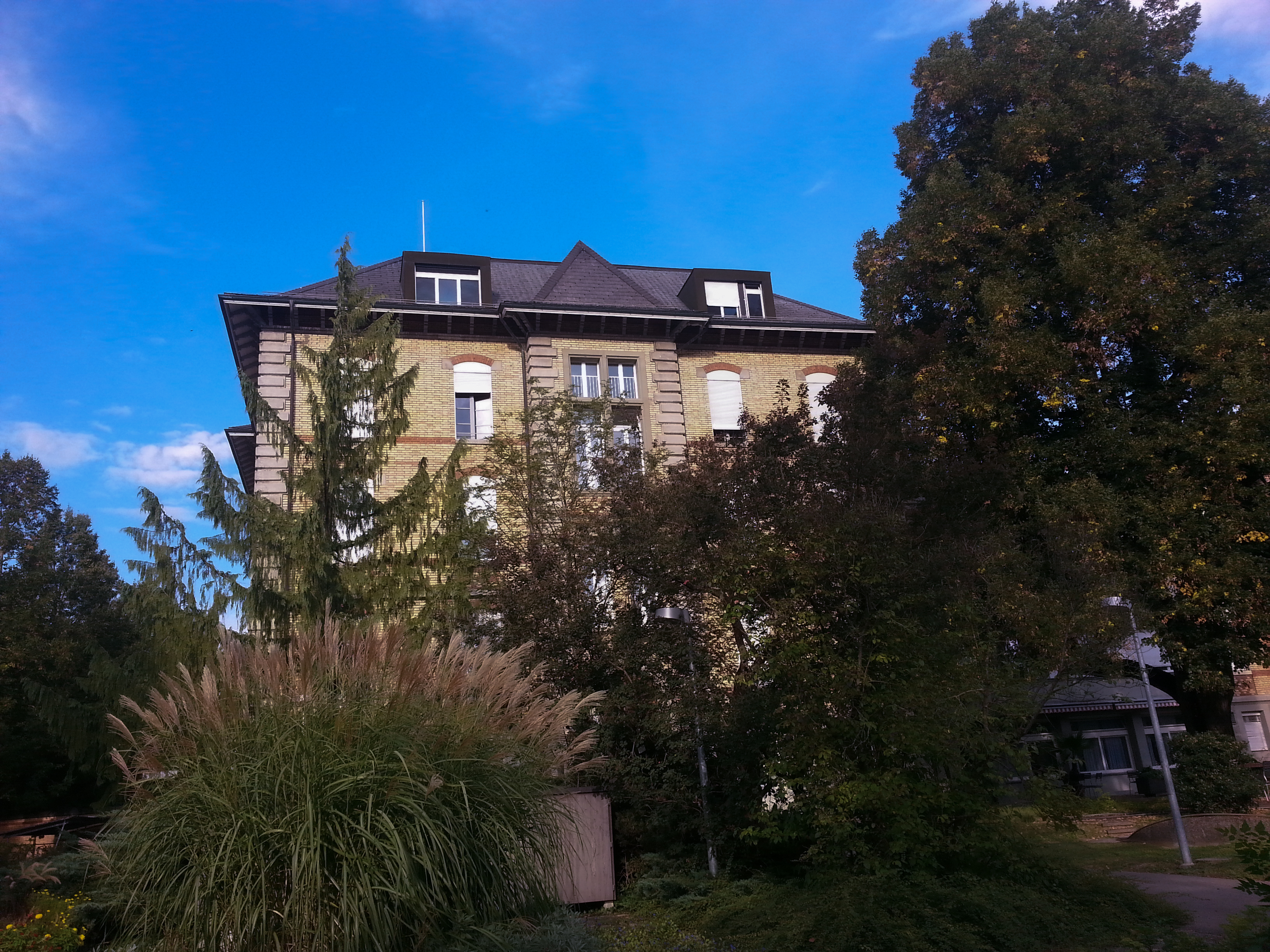 Eine wertvolle Schule