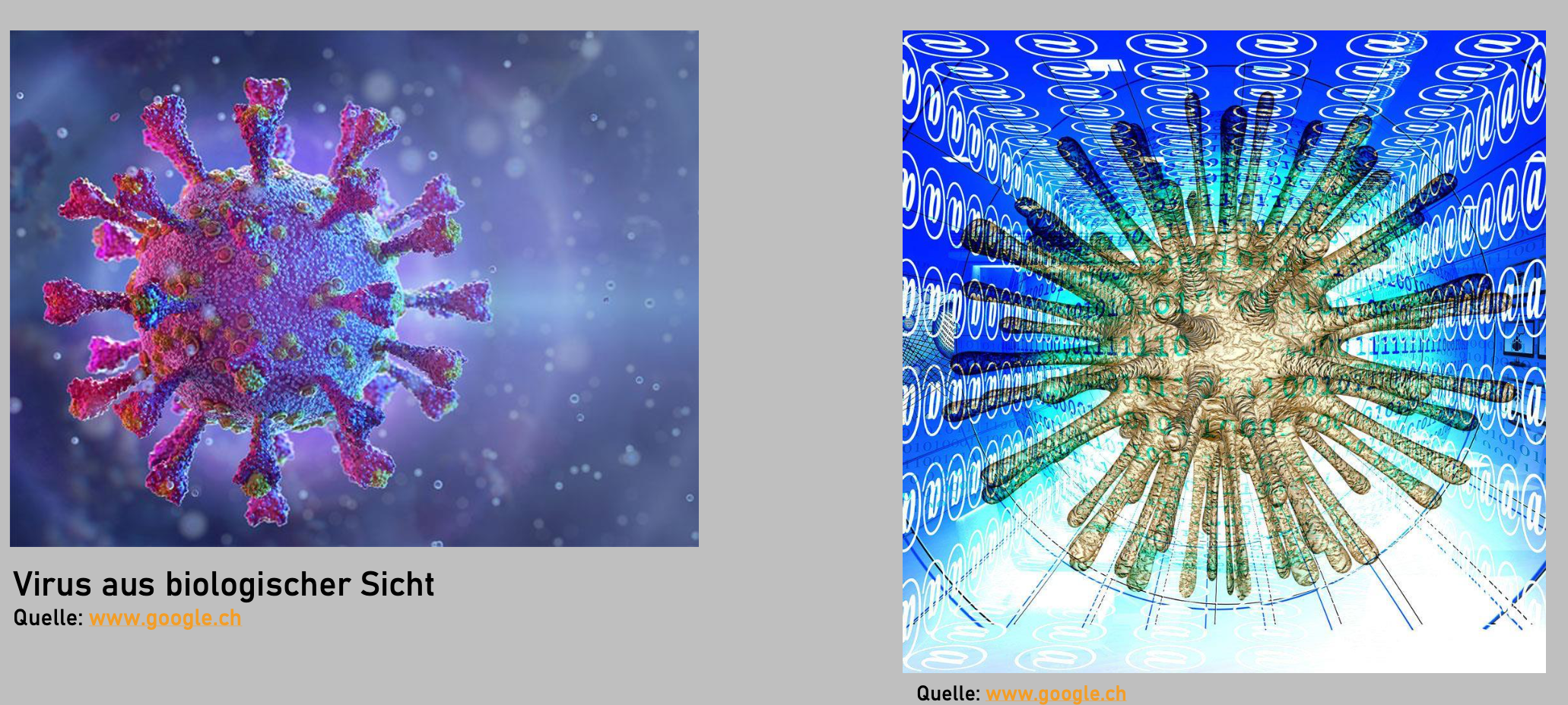 Safety first – sicher unterwegs im Daten-Dschungel