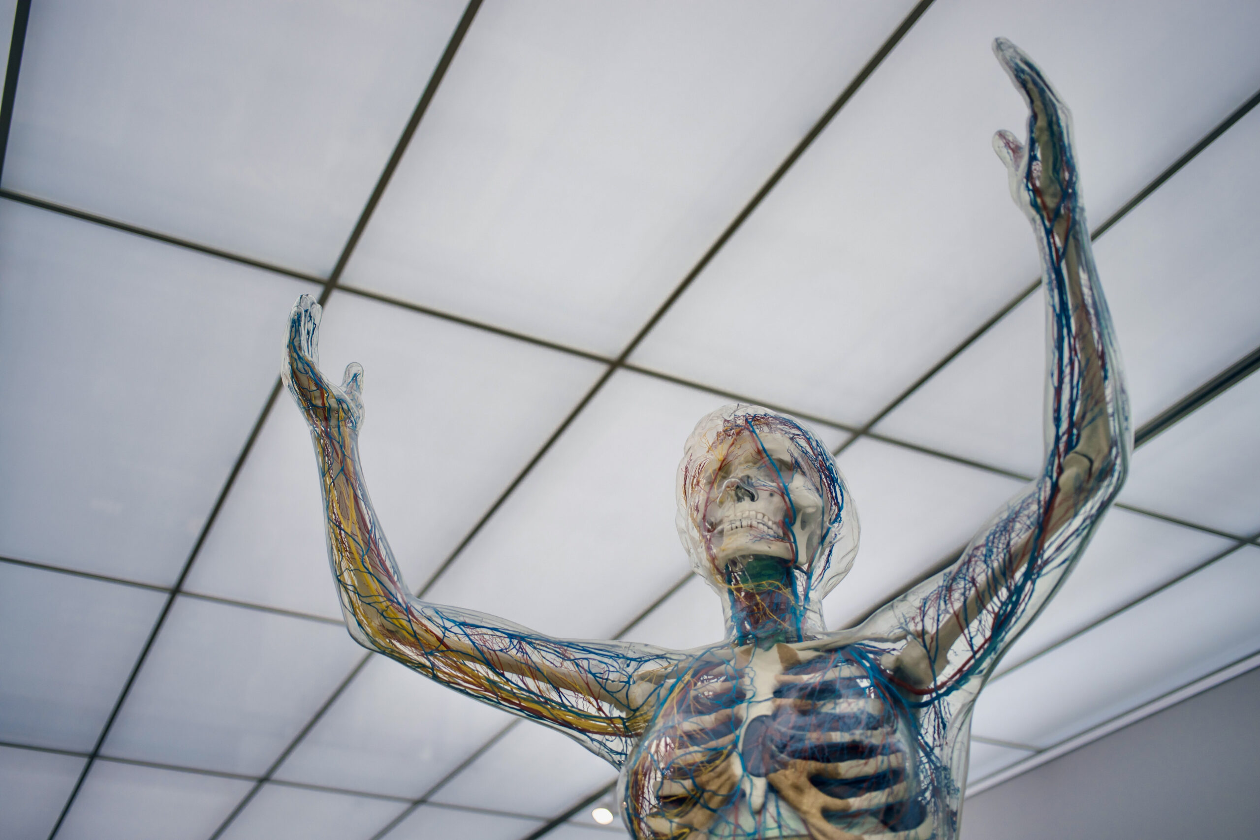 Hat mein Hirn seinen eigenen Kopf?