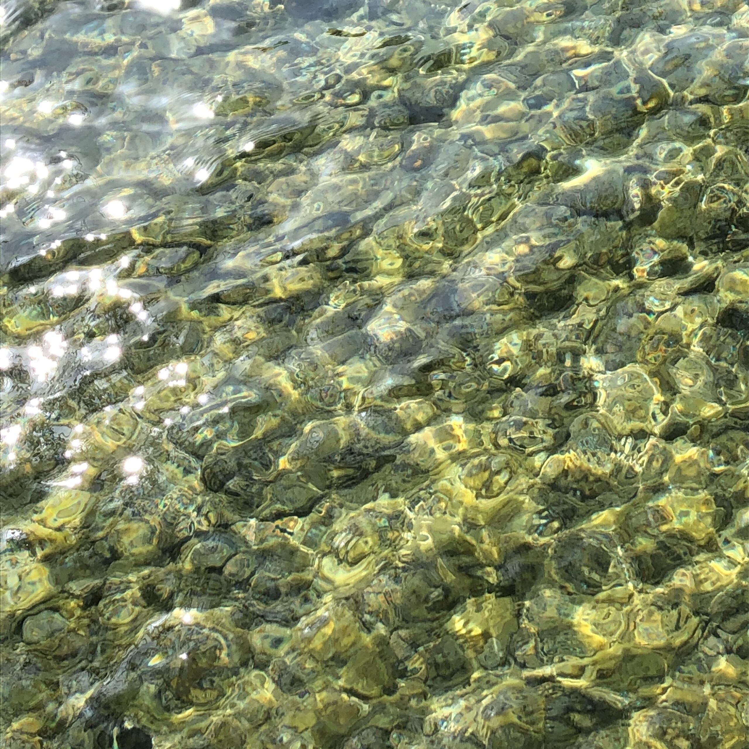 Verwässerte Sprichwörter?