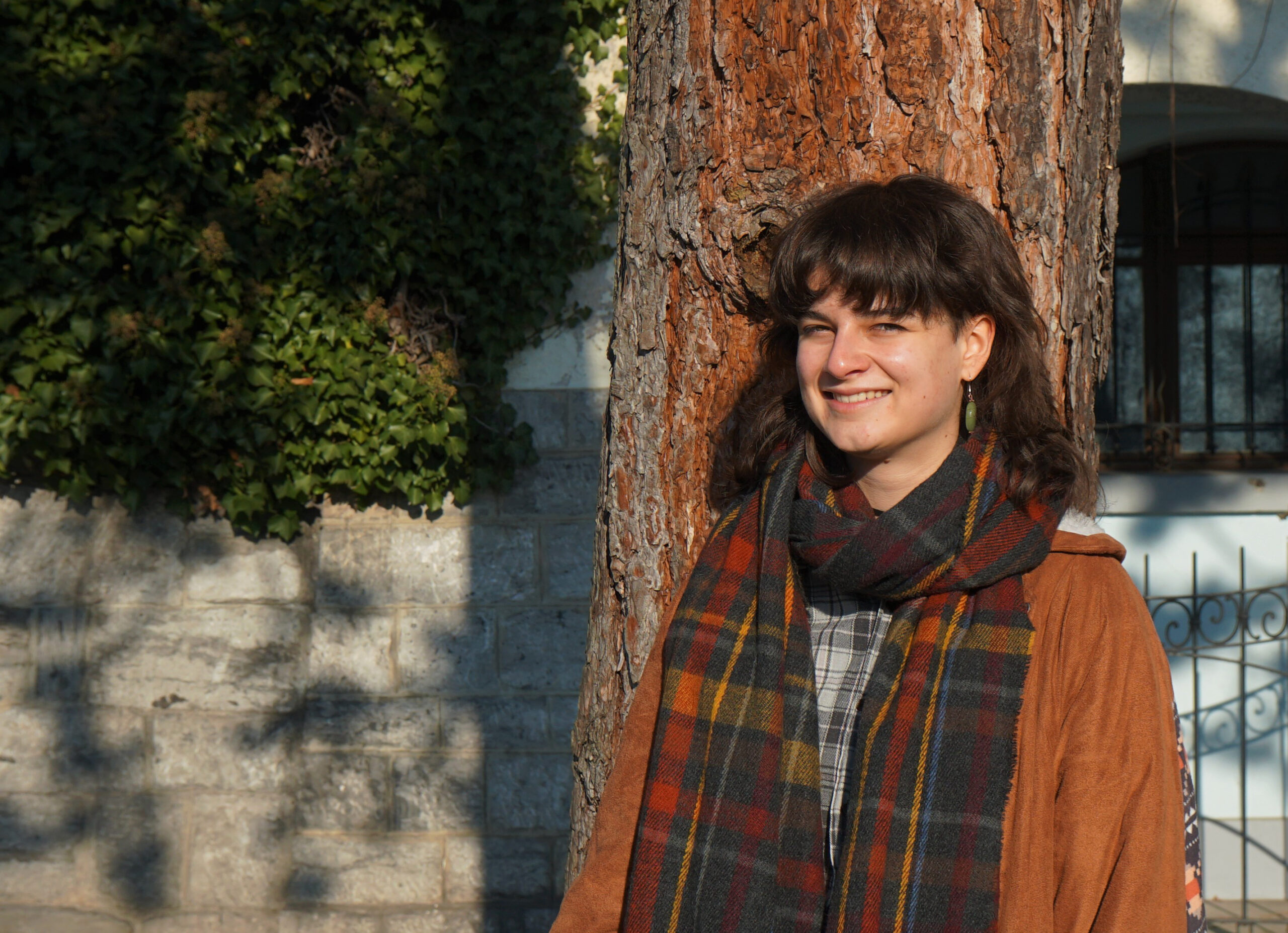 In die Sterne gucken und träumen