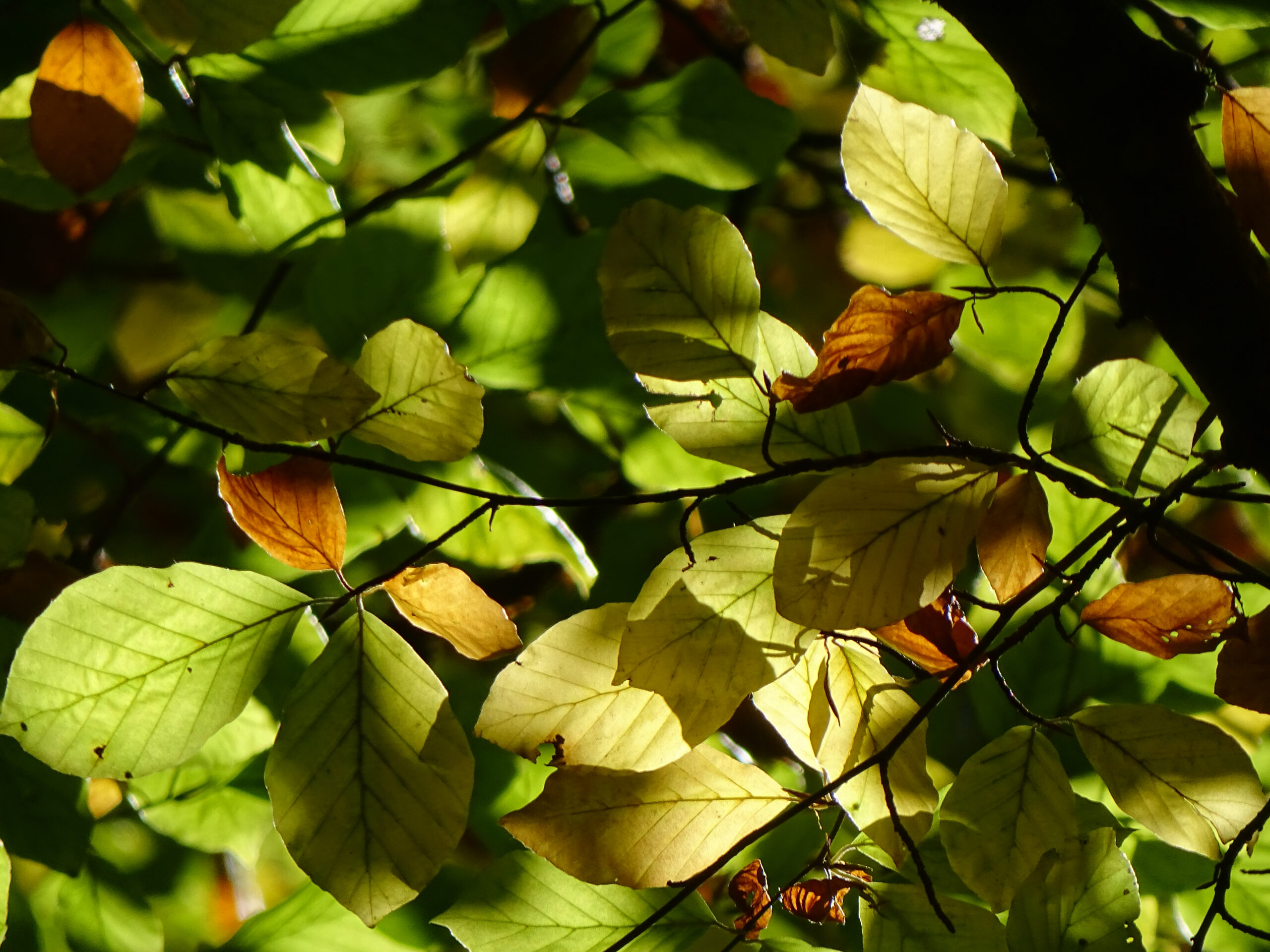 Ein wenig Licht, Wärme und Empathie