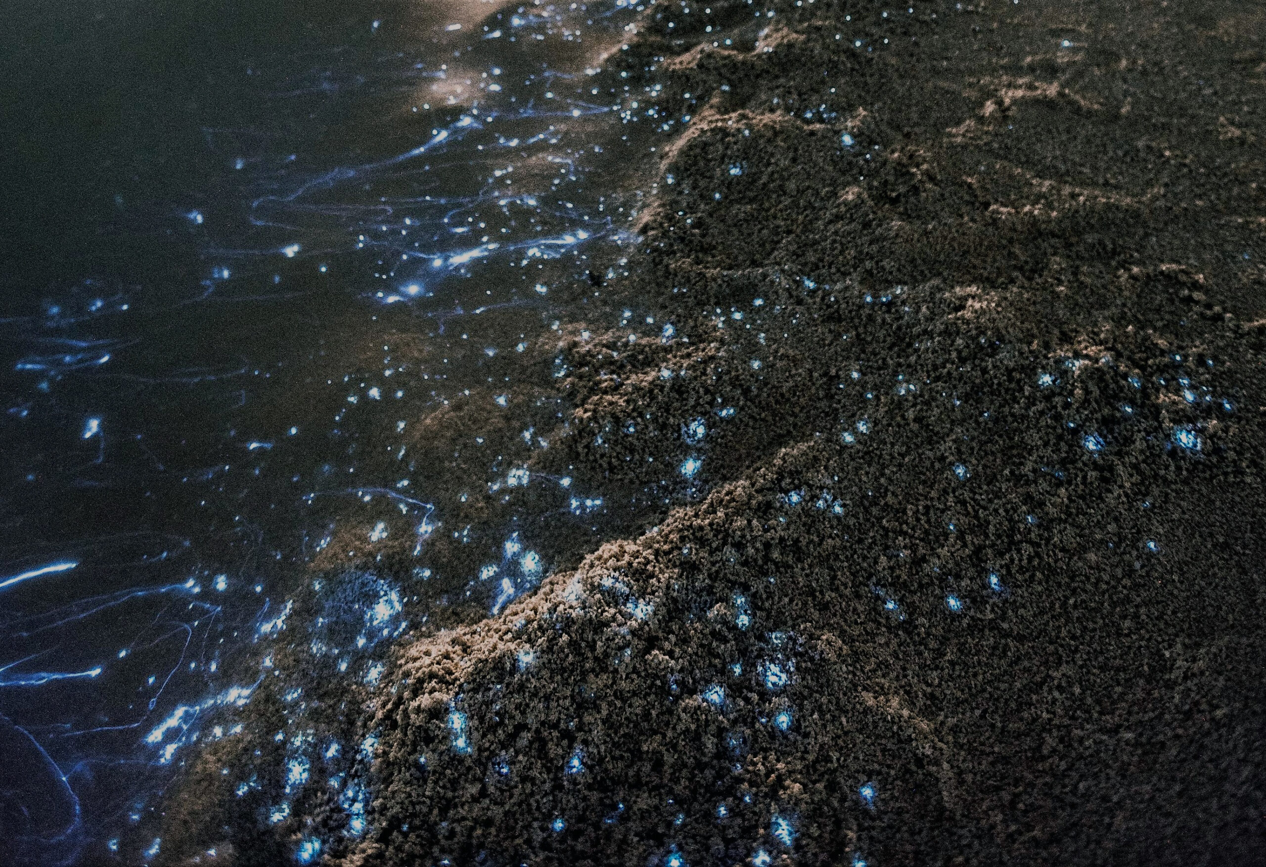 Hell und Dunkel – ein sinnliches Erlebnis