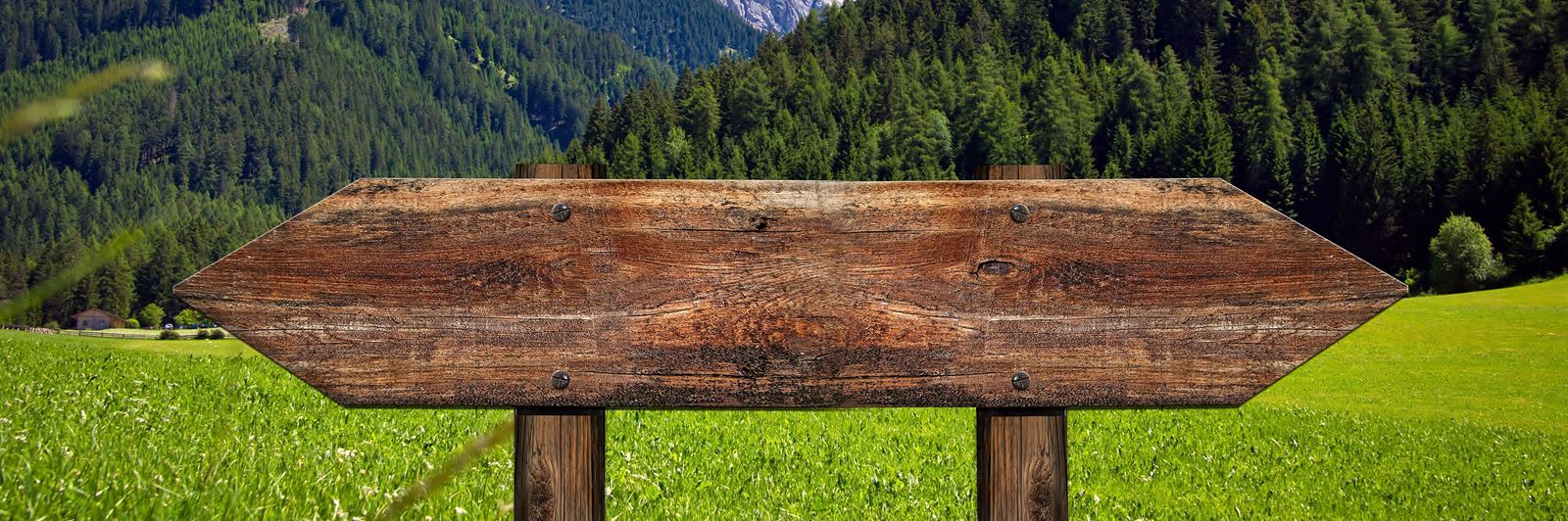 Rundflug über alltägliche Rechtsfragen