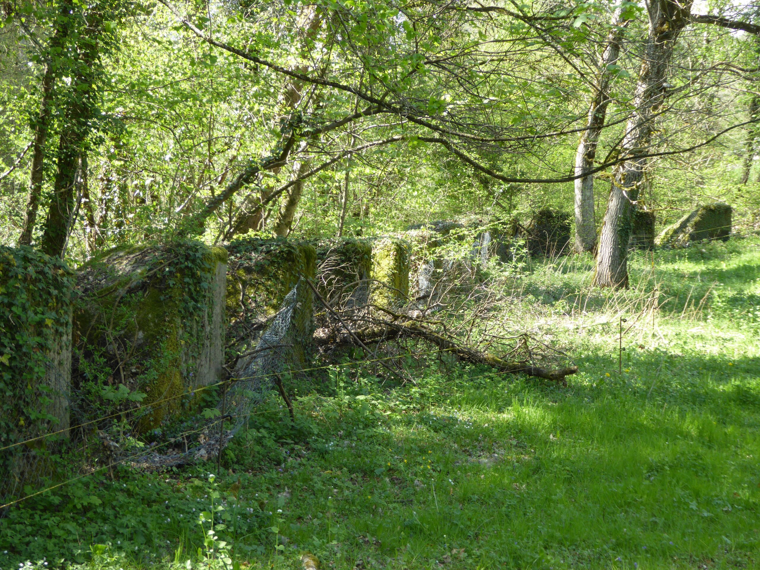 Schokolade gegen Panzer?