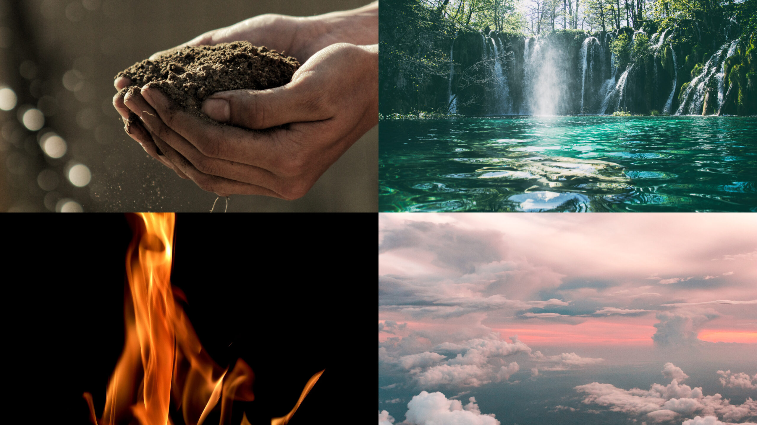 In seinem Element sein