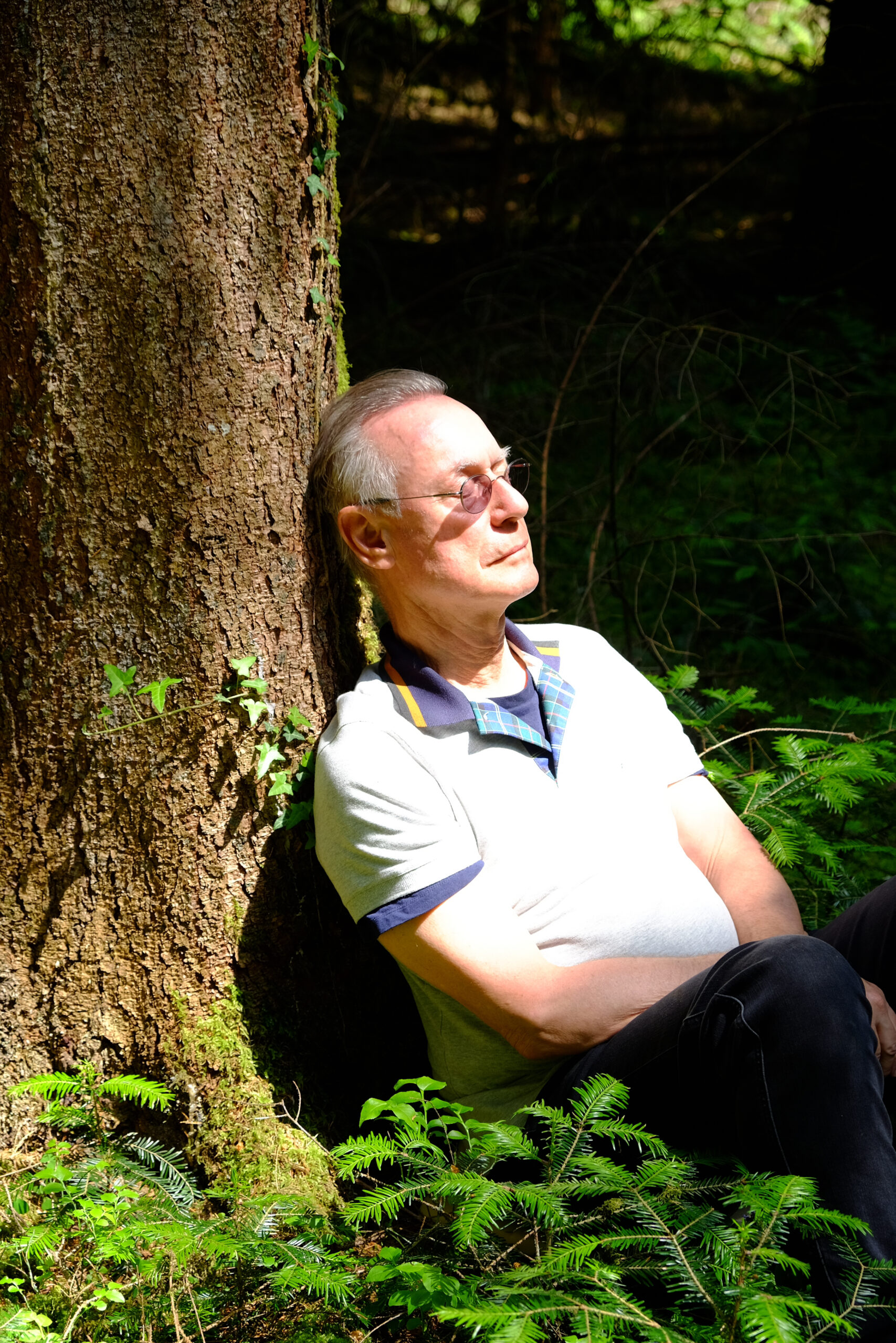 Die heilsame Wirkung des Waldes