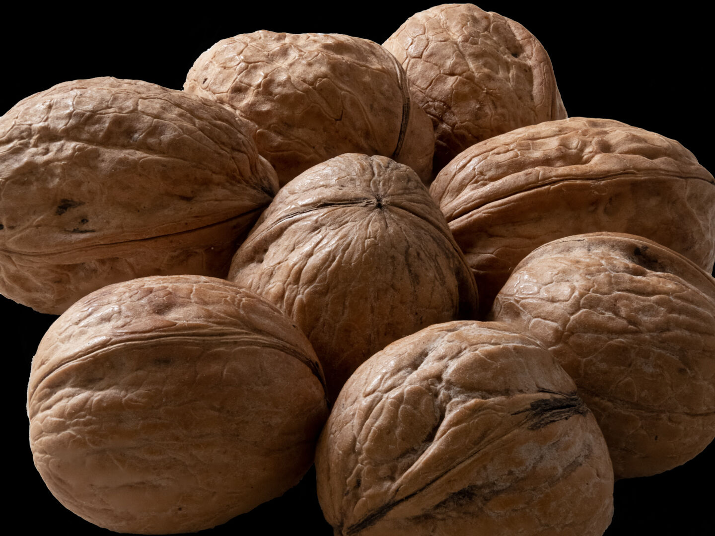 Fotokurs für Fortgeschrittene