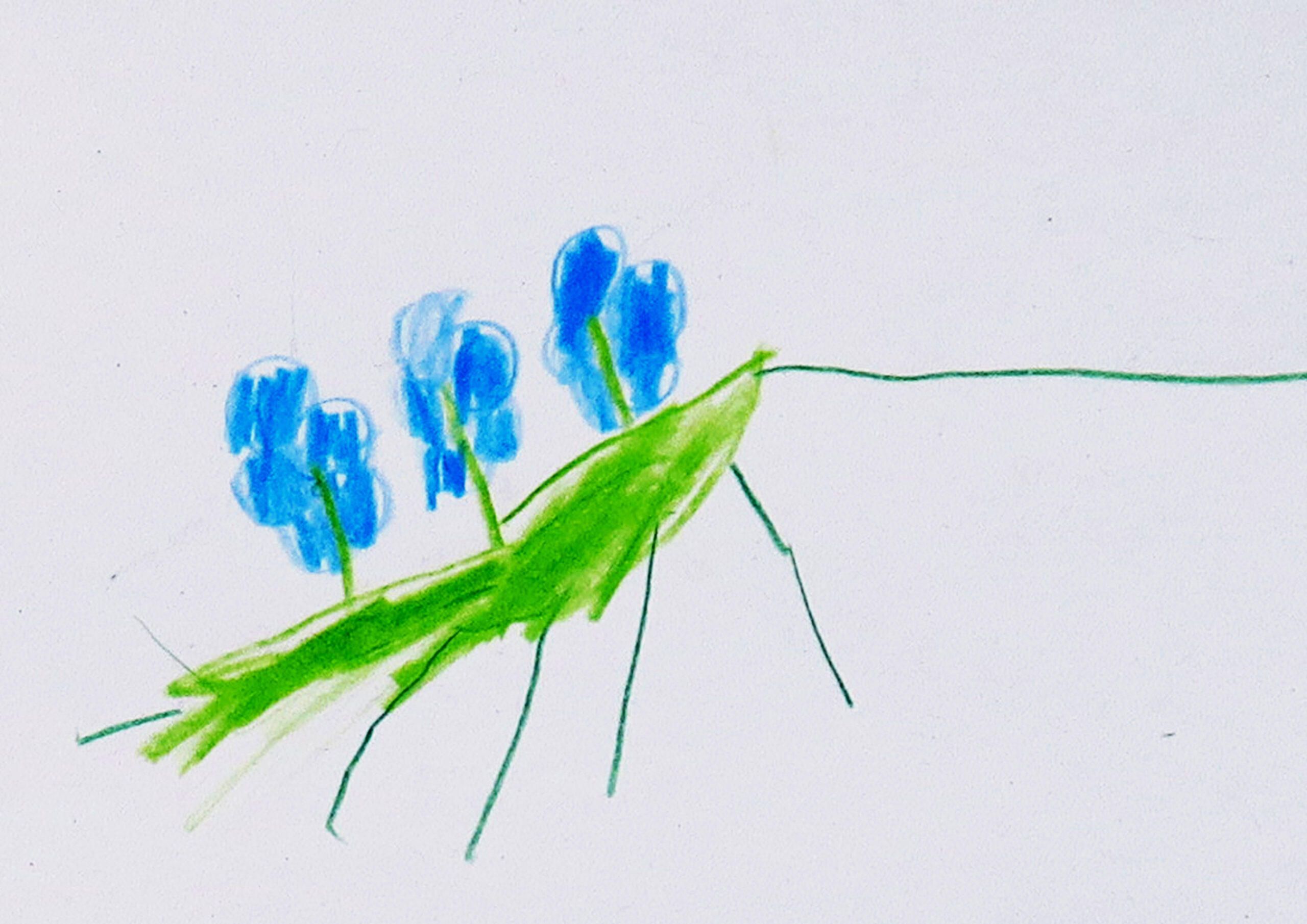 Selve – Geschichten