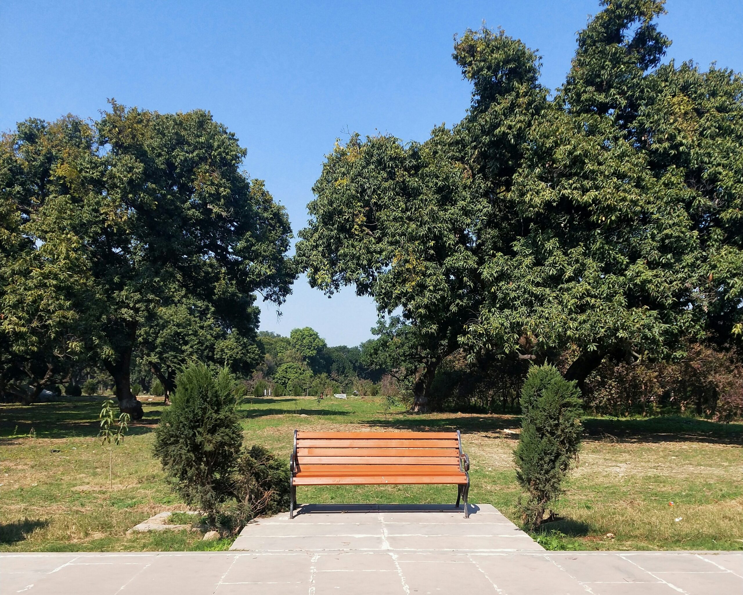 Einsamkeit – die stille Epidemie des 21. Jahrhunderts?