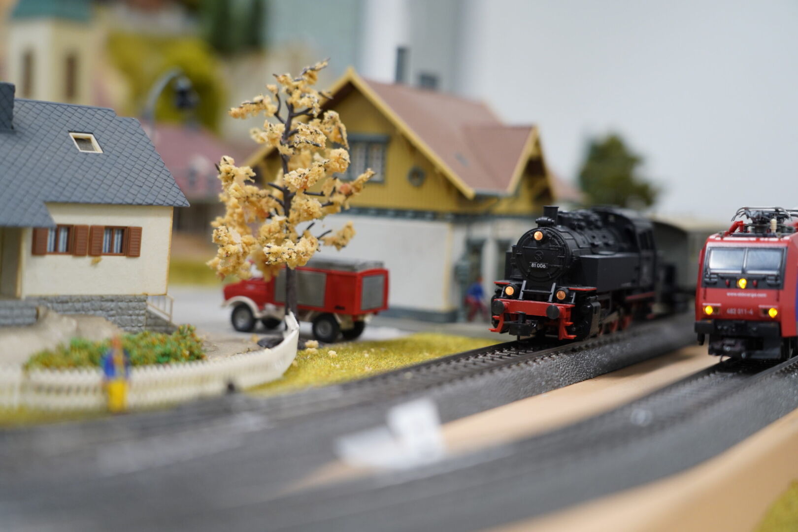 Thuner Eisenbahn-Amateure: «Alles um die Modelleisenbahn»