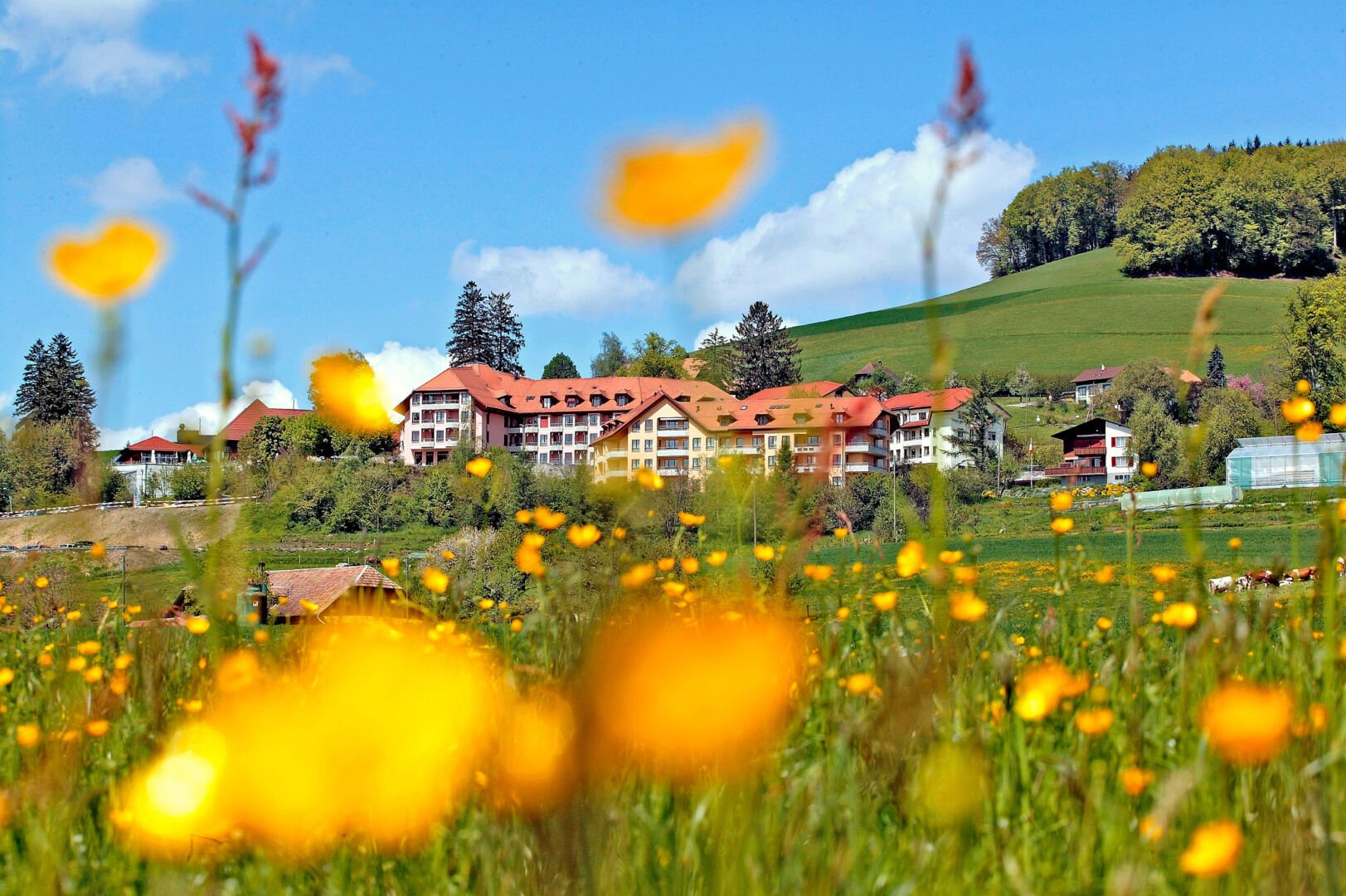 Rüttihubelbad – ein Ort für Begegnung zwischen Generationen