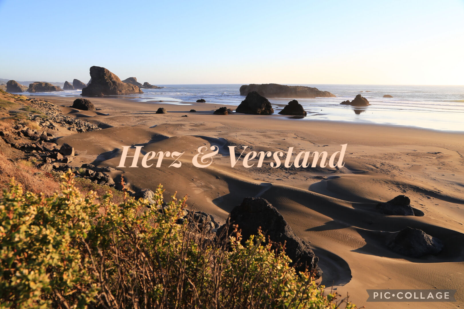 Resilienz ein Modewort?